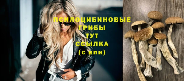 мескалин Армянск